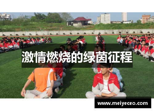 激情燃烧的绿茵征程