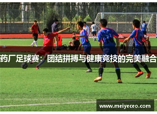 药厂足球赛：团结拼搏与健康竞技的完美融合