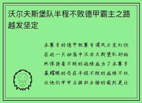 沃尔夫斯堡队半程不败德甲霸主之路越发坚定