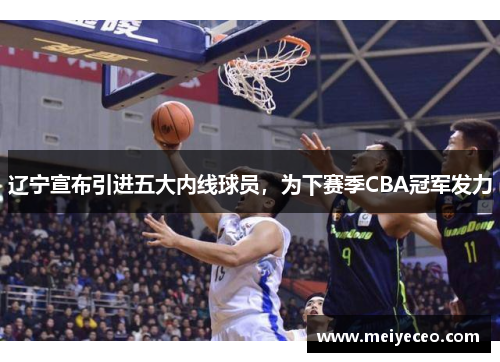 辽宁宣布引进五大内线球员，为下赛季CBA冠军发力